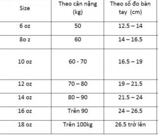 6 dụng cụ tập võ Muay Thái phải có cho người mới bắt đầu