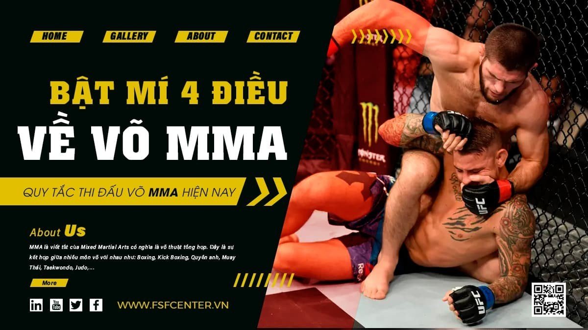 Bật mí 4 điều có thể bạn chưa biết về võ MMA