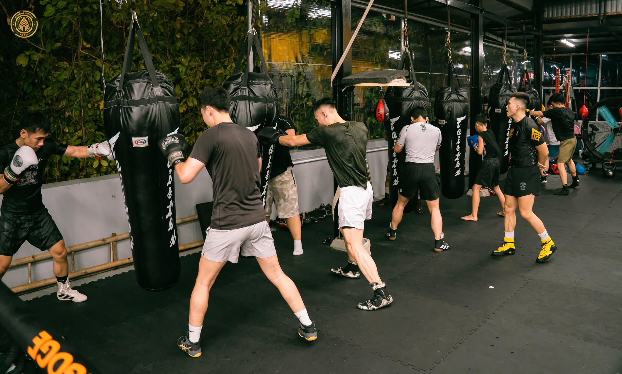 Khóa Học MMA BJJ Jiu Jitsu Từ Cơ Bản Đến Nâng Cao Tại Hà Nội