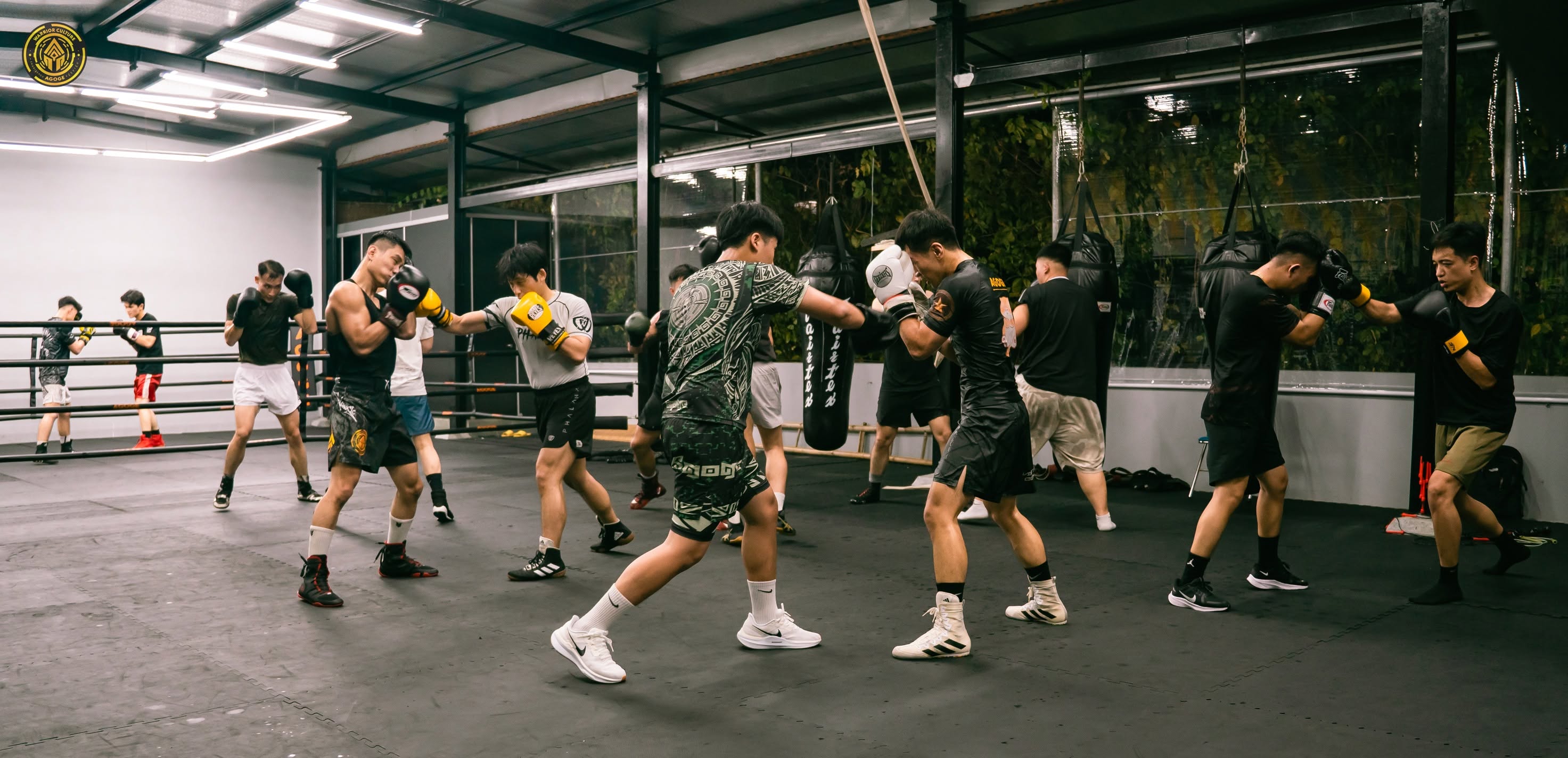 Khóa Học MMA BJJ Jiu Jitsu Từ Cơ Bản Đến Nâng Cao Tại Hà Nội