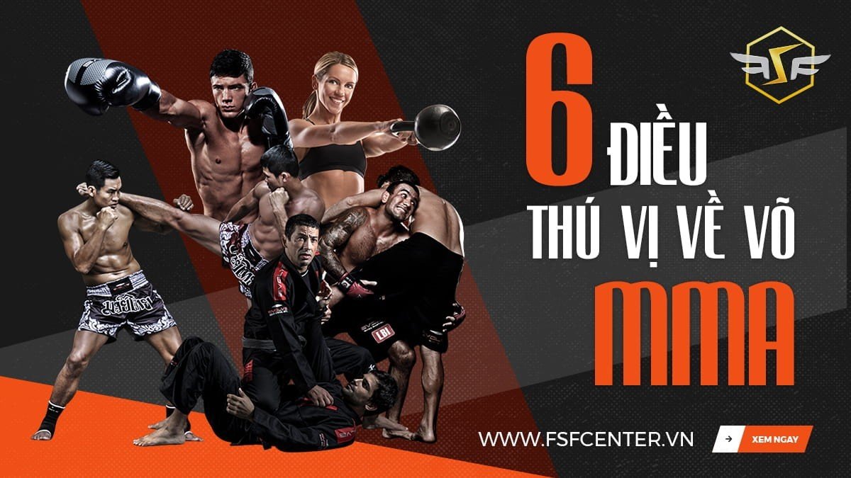 6 Điều thú vị về võ MMA