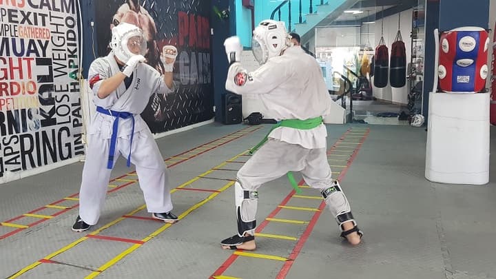 MMA có gì khác biệt so với các môn võ khác trên thế giới?