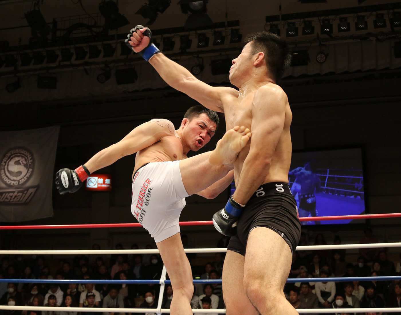 Kick Boxing Khác Gì Boxing? Phân Biệt Đòn Đấm, Đá Và Cách Tập
