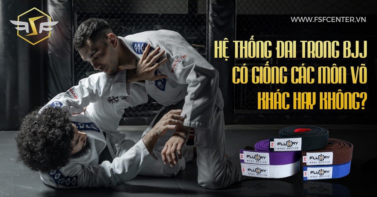 Hệ thống đai trong BJJ có giống các môn võ khác hay không?