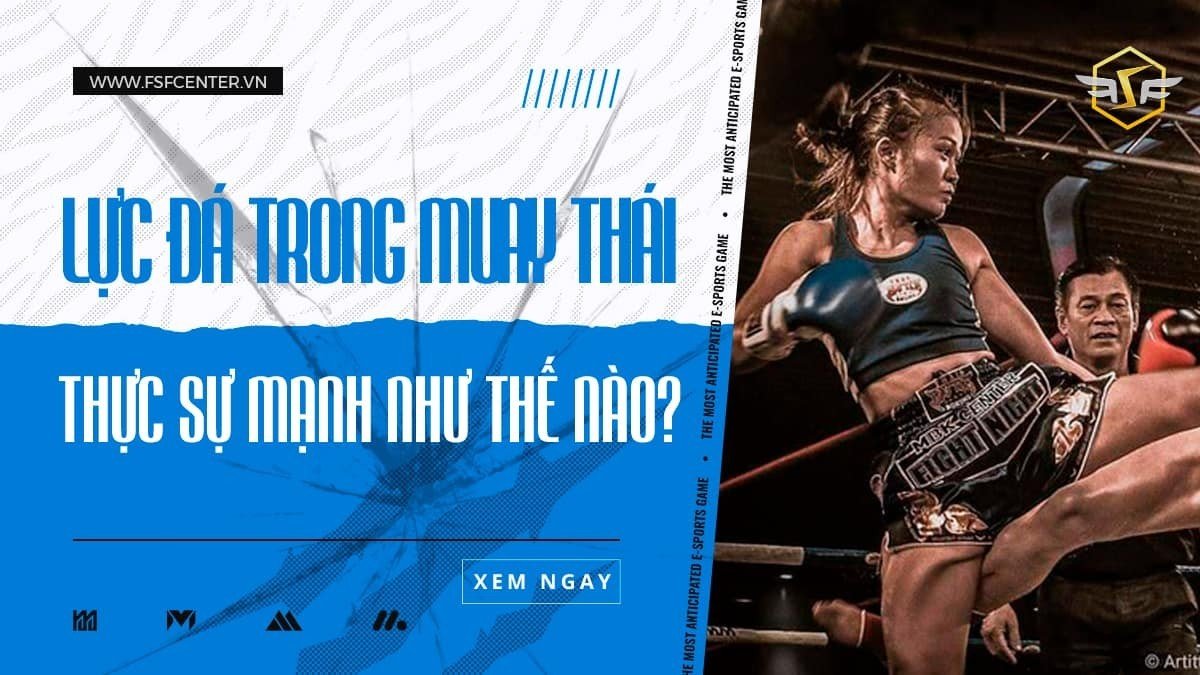 Lực đá trong Muay Thái thực sự mạnh như thế nào?