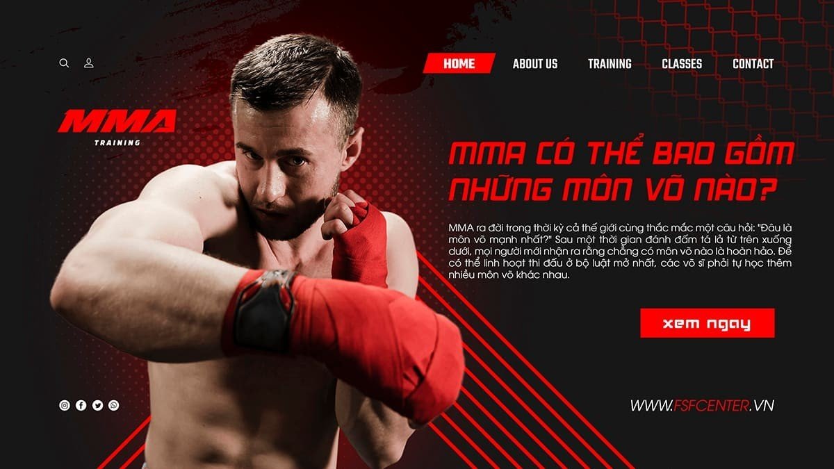 MMA có thể bao gồm những môn võ nào?