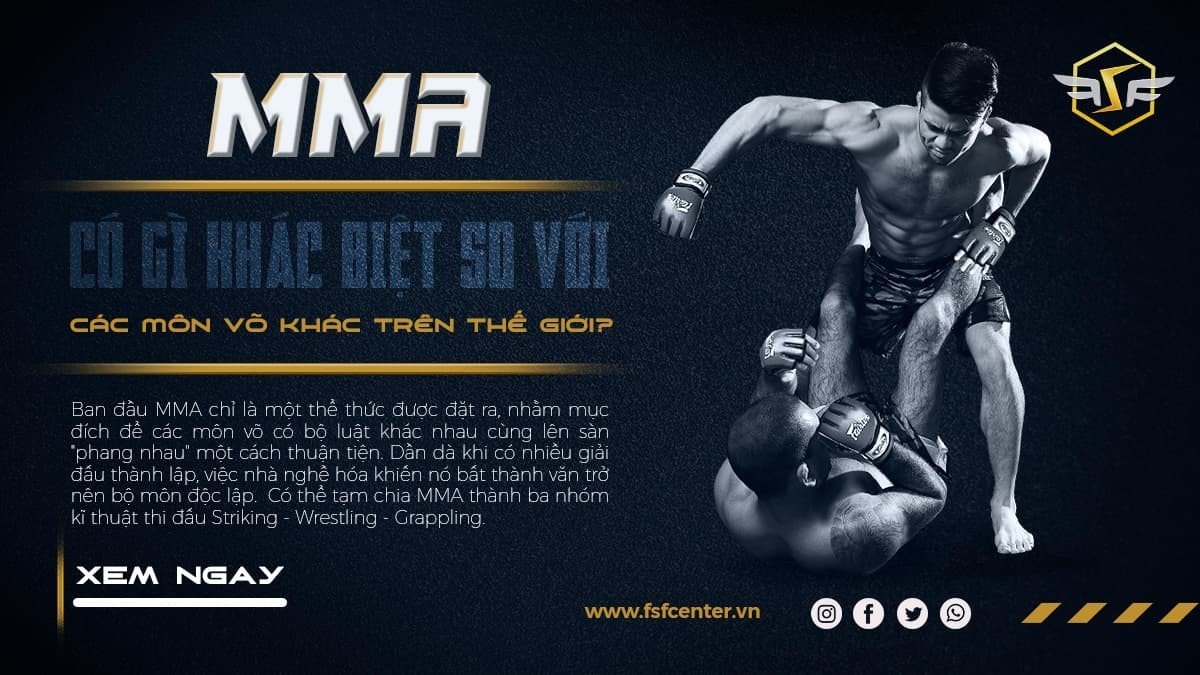 MMA có gì khác biệt so với các môn võ khác trên thế giới?