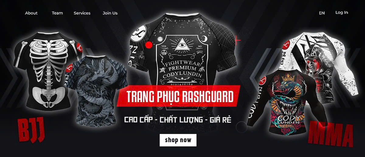 Khóa học dạy MMA nhu thuật BJJ Jiu Jitsu cơ bản chuyên nghiệp tphcm