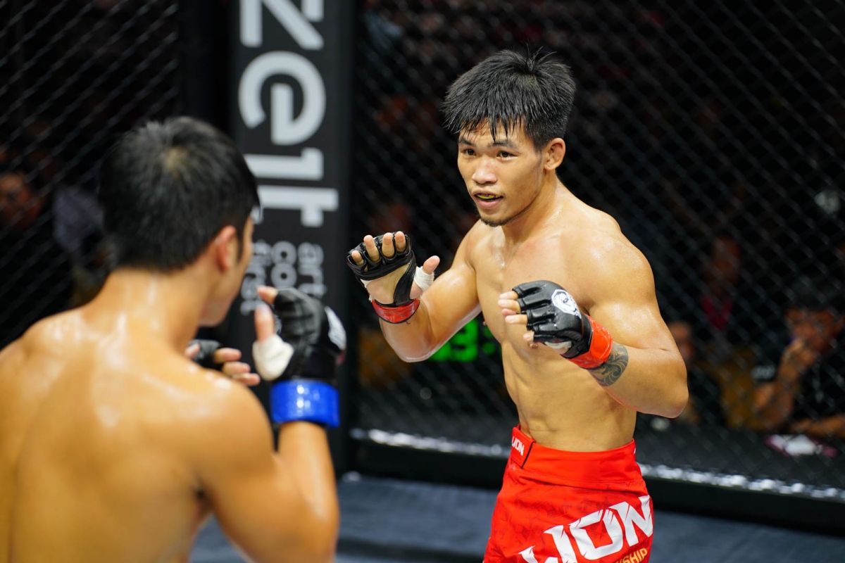 MMA Việt Nam có phù hợp với người mới bắt đầu hay không?