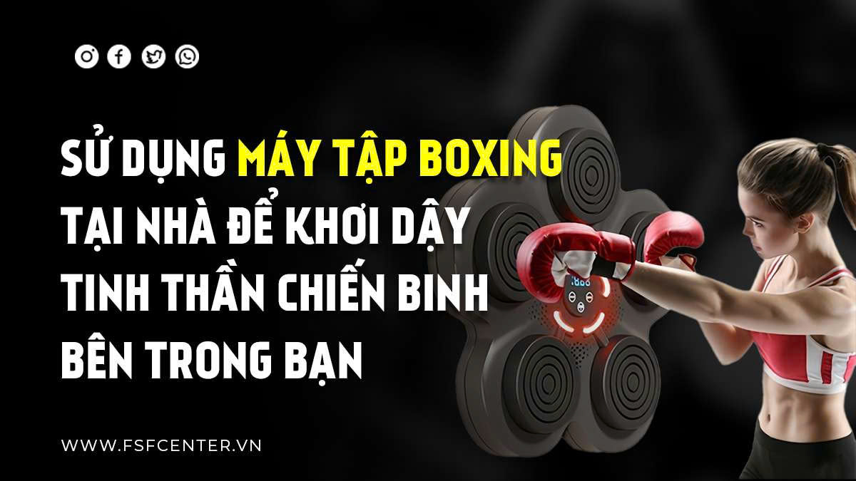 Sử Dụng Máy Tập Boxing Tại Nhà Để Khơi Dậy Tinh Thần Chiến Binh Bên Trong Bạn
