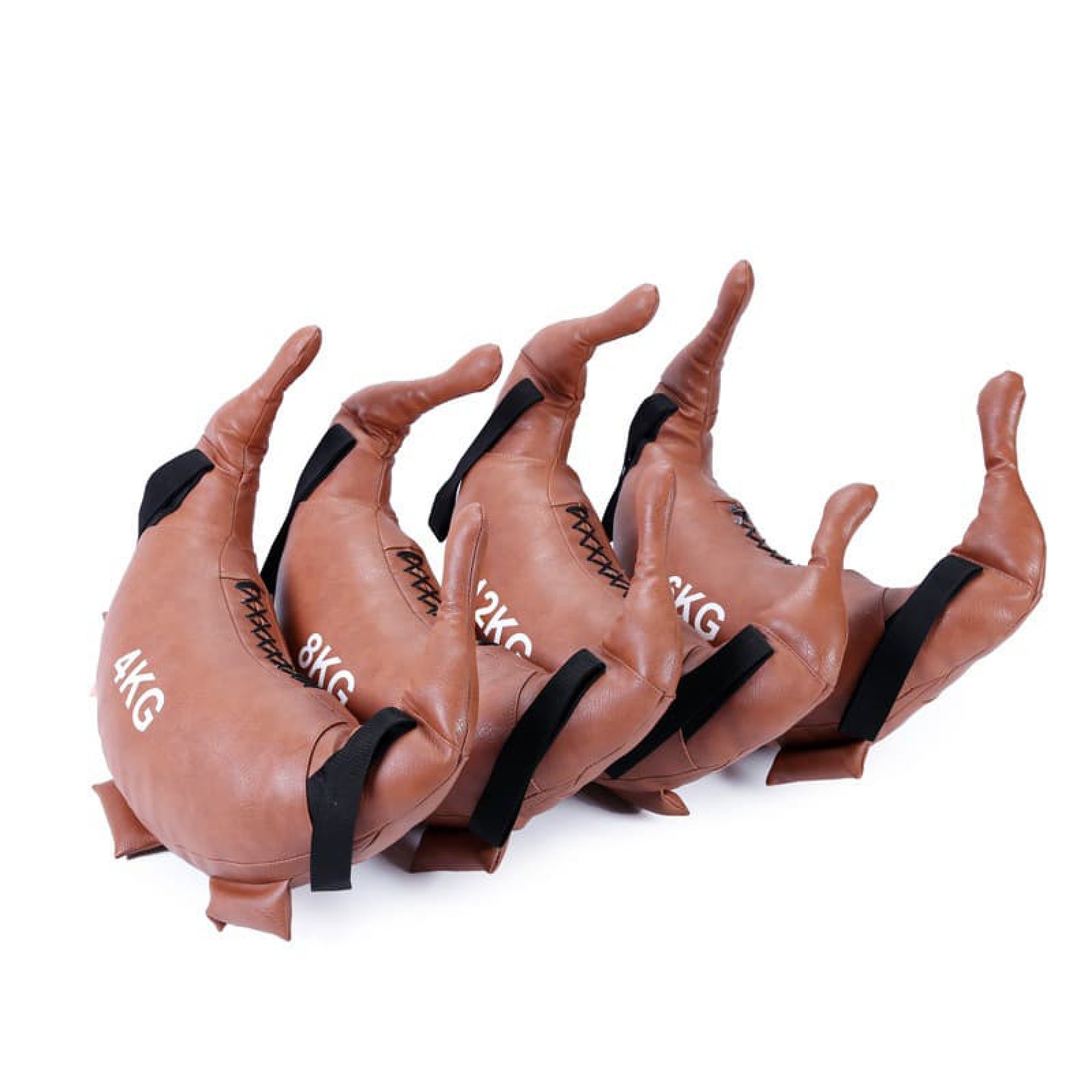 Bao cát Bulgarian JF tập kháng lực 009