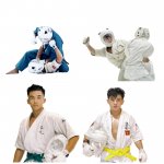 Địa chỉ dạy khóa học võ thuật Kudo cơ bản chuyên nghiệp thi đấu giá rẻ TPHCM