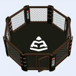 Trùm bán thi công sàn lồng đài tập luyện thi đấu võ thuật tổng hợp MMA chính hãng giá rẻ hcm
