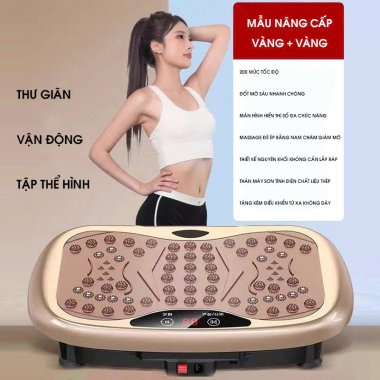 Máy rung toàn thân cao cấp giúp giảm mỡ nhanh chóng DCTT006