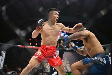 MMA Việt Nam là gì? Lịch sử hình thành và sự phát triển của MMA tại...