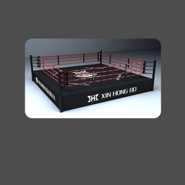 Lồng sàn đài thi đấu võ thuật MMA 003