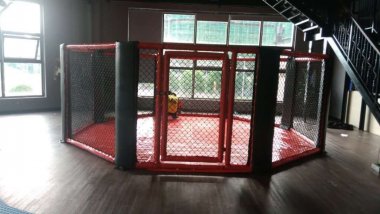 Thi công sàn đài thi đấu võ thuật tổng hợp MMA 006