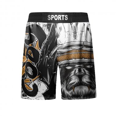 Set bộ 4 món Quần áo Rashguard BJJ MMA hỗ trợ luyện tập 057